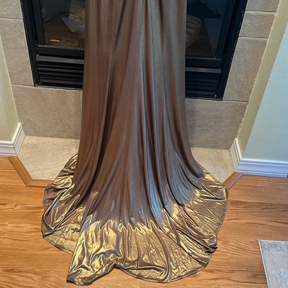 Gorgeous Terani dress - Picture 13 of 13